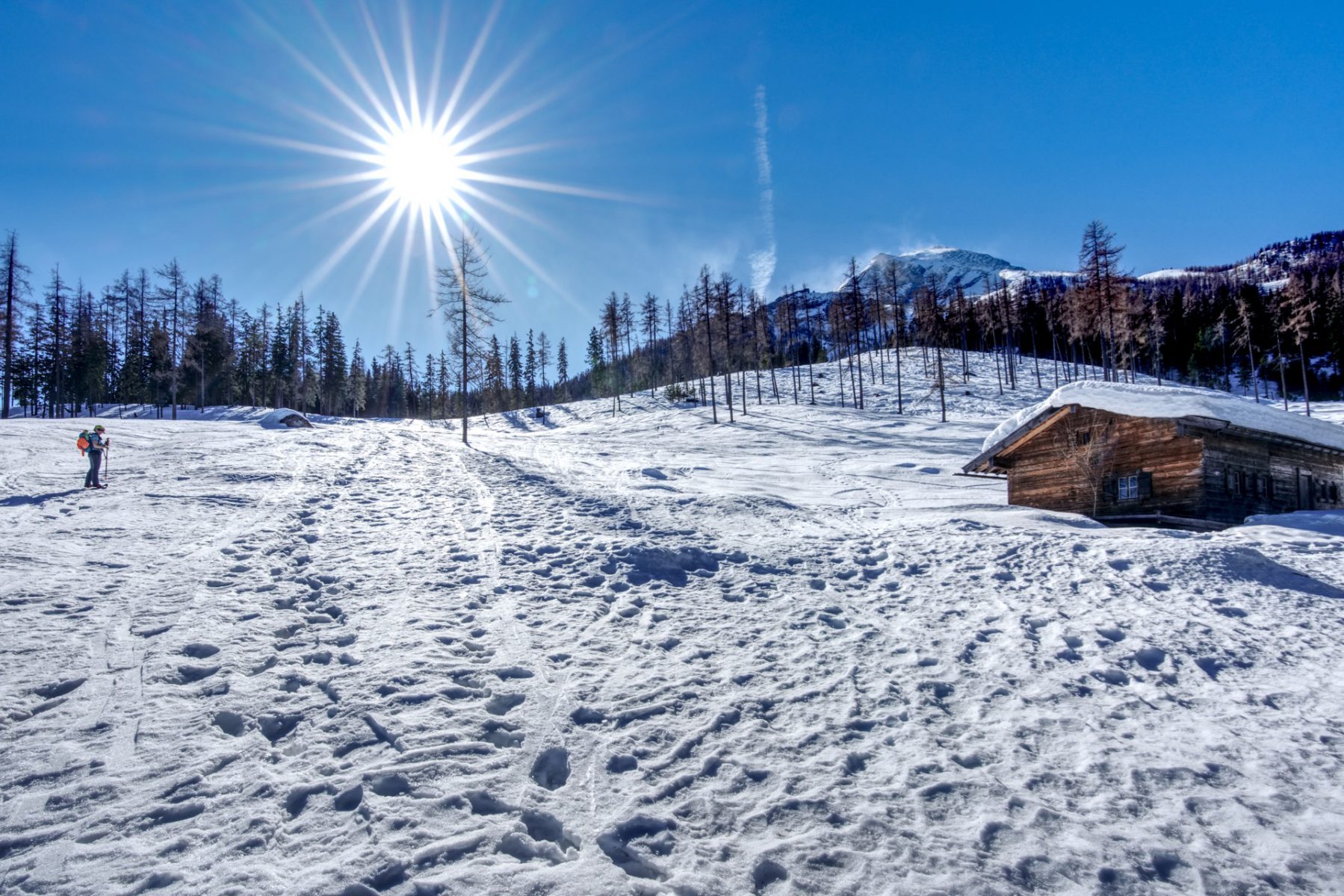 Mitterkaseralm - Schneeschuhtour zum Falzkopf