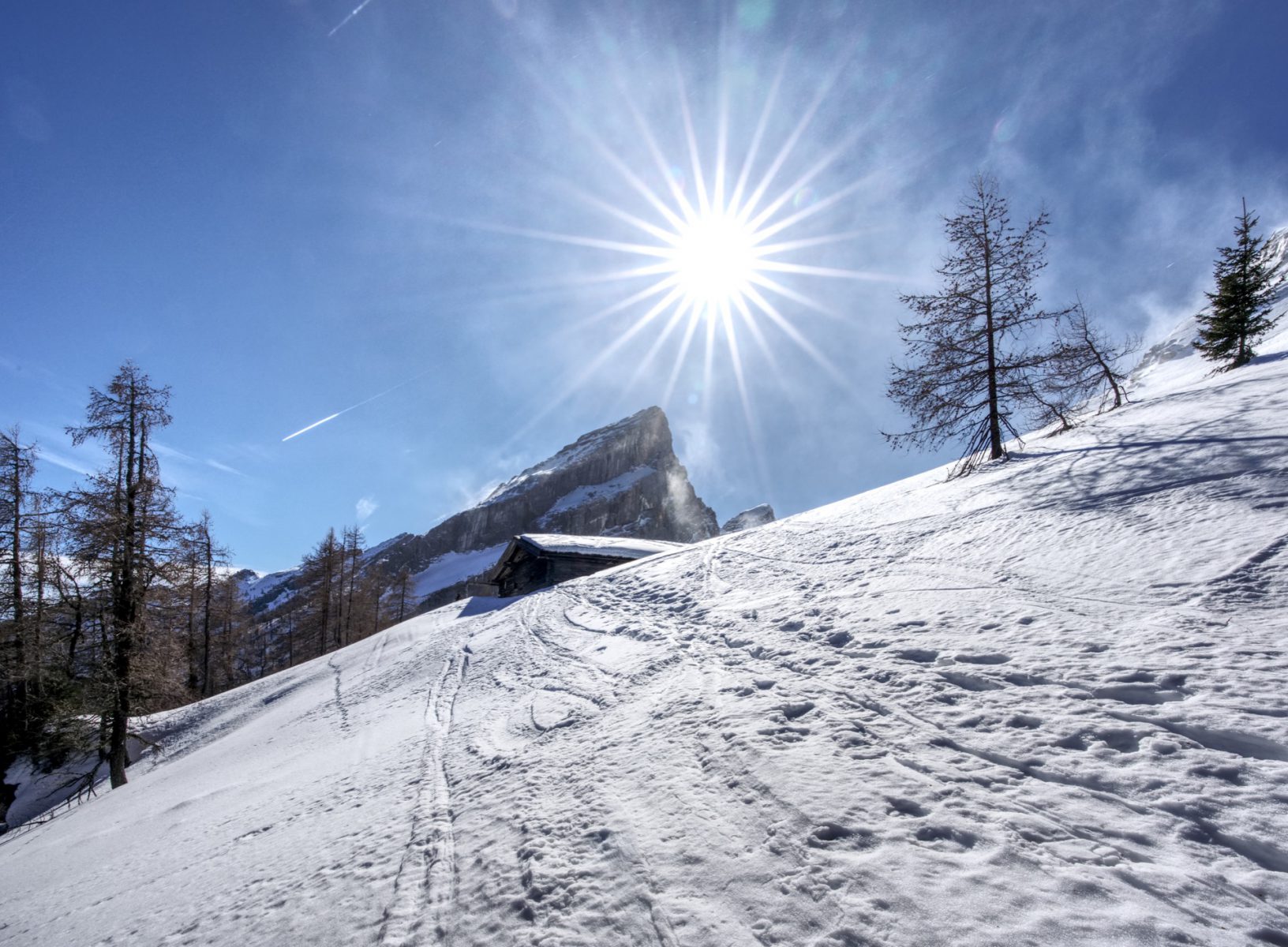 Falzalm - Schneeschuhtour zum Falzkopf