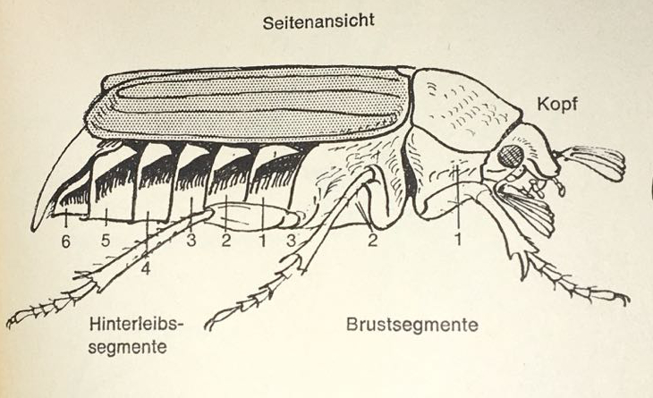 Dieses Bild hat ein leeres alt-Attribut; sein Dateiname ist IMG_3163.jpg.