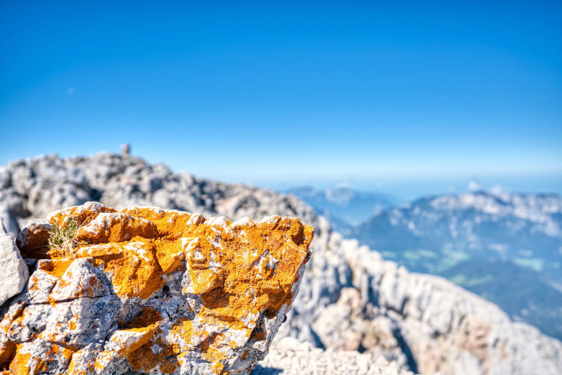 Bergtour Hoher Göll über Salzburger Steig. Felsflechten