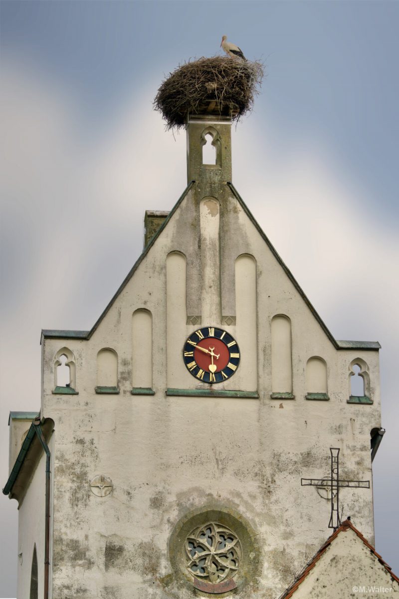 Storch auf Kirchturm