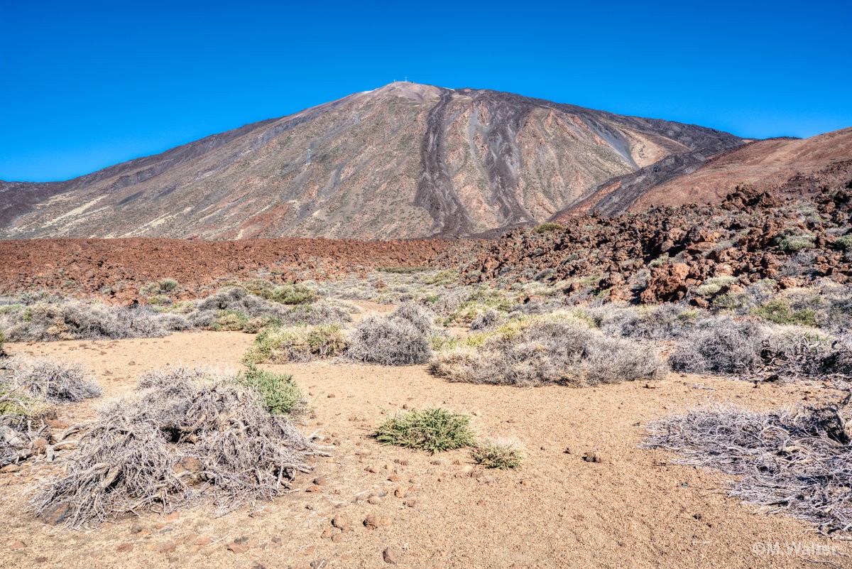 Pico del Teide