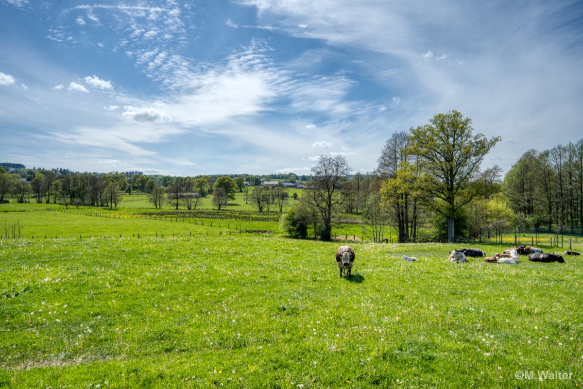 Landschaft bei Fraiture