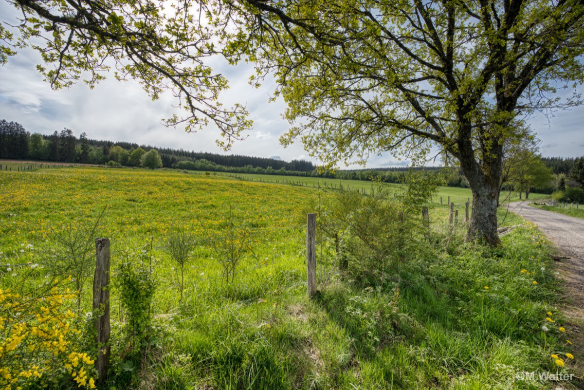 Landschaft bei Fraiture