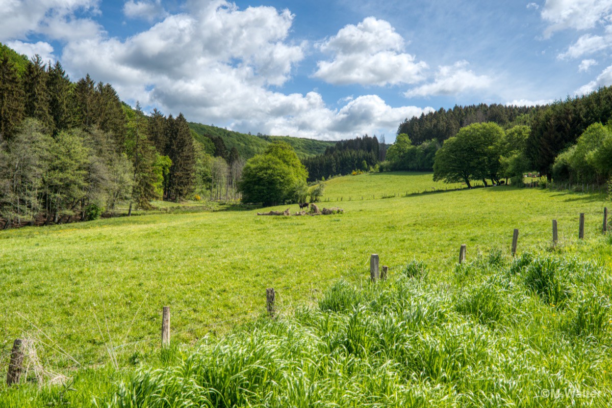 Landschaft bei Marcouray