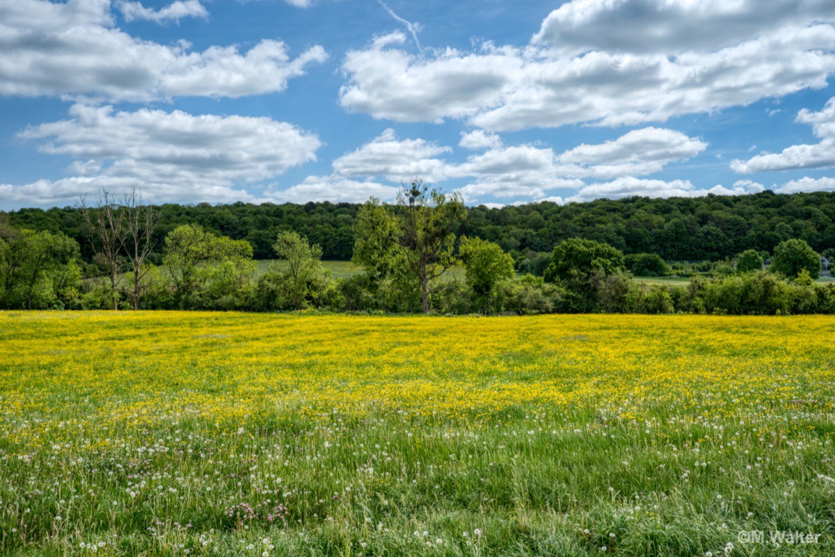 Landschaft bei Biron