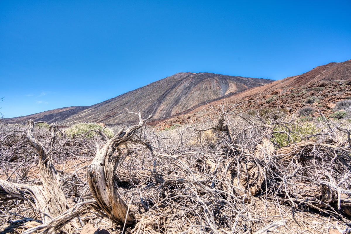 Pico del Teide