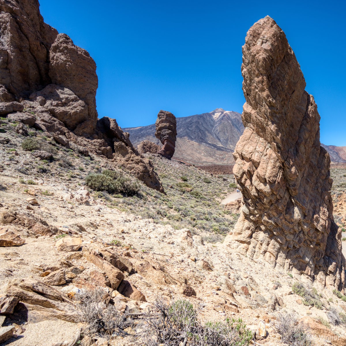 Roques de Garcia