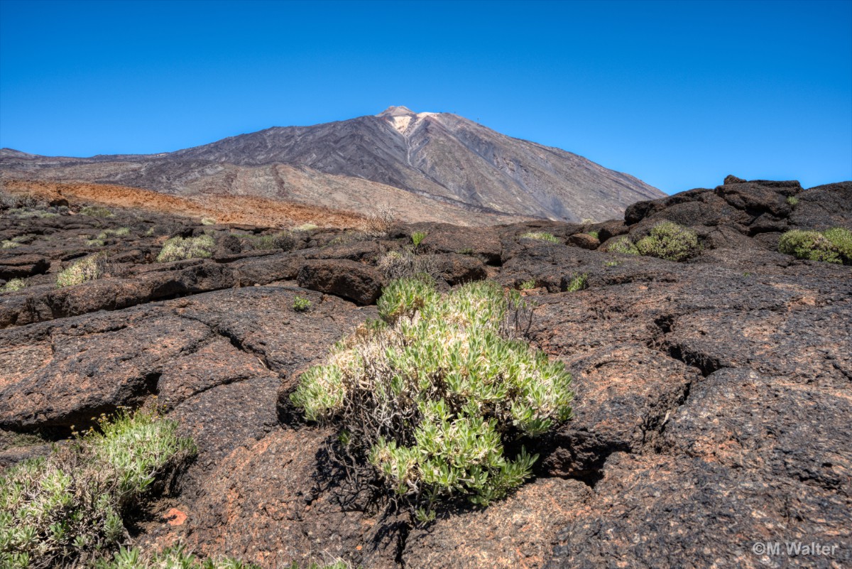 Pico del Teide