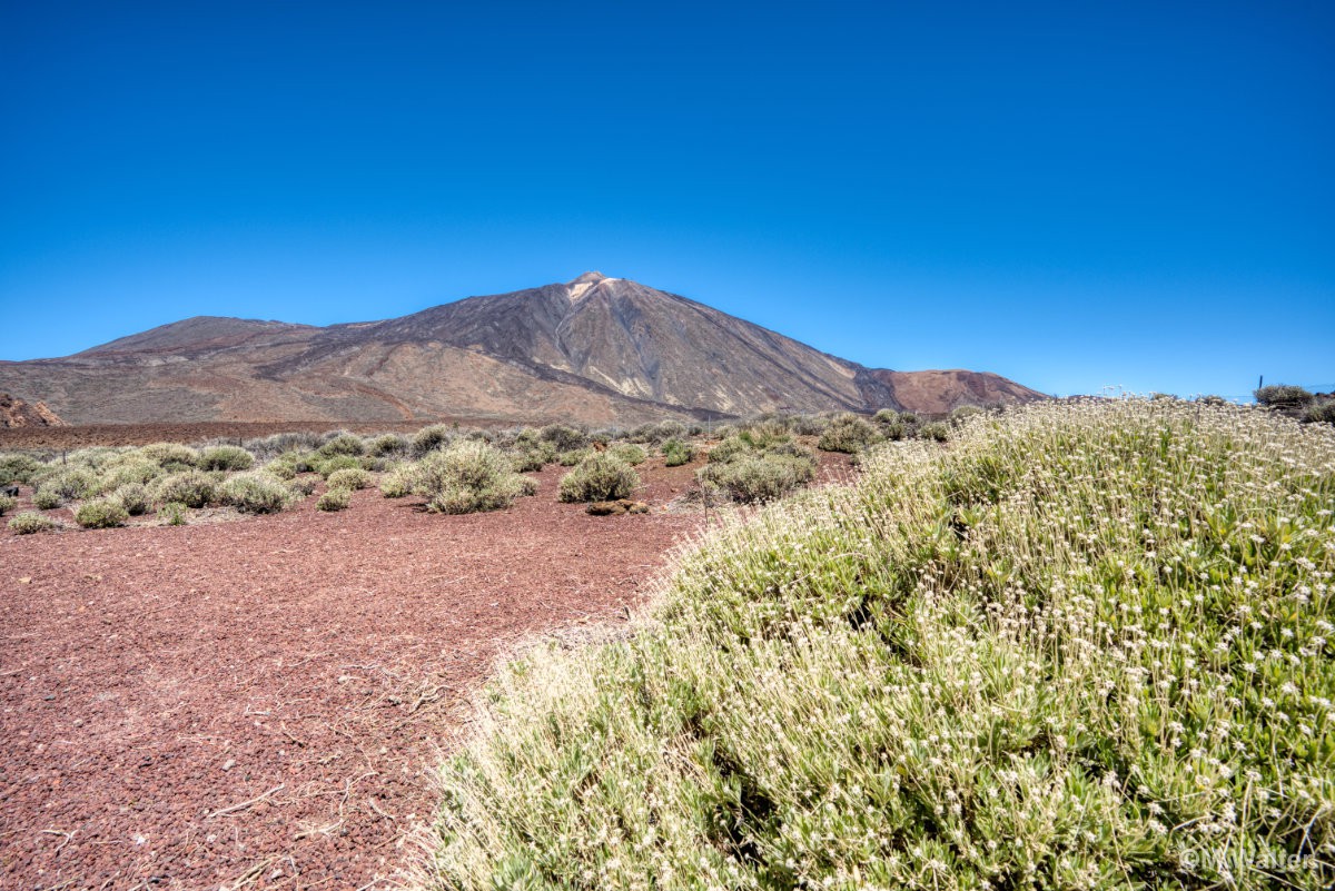 Teide