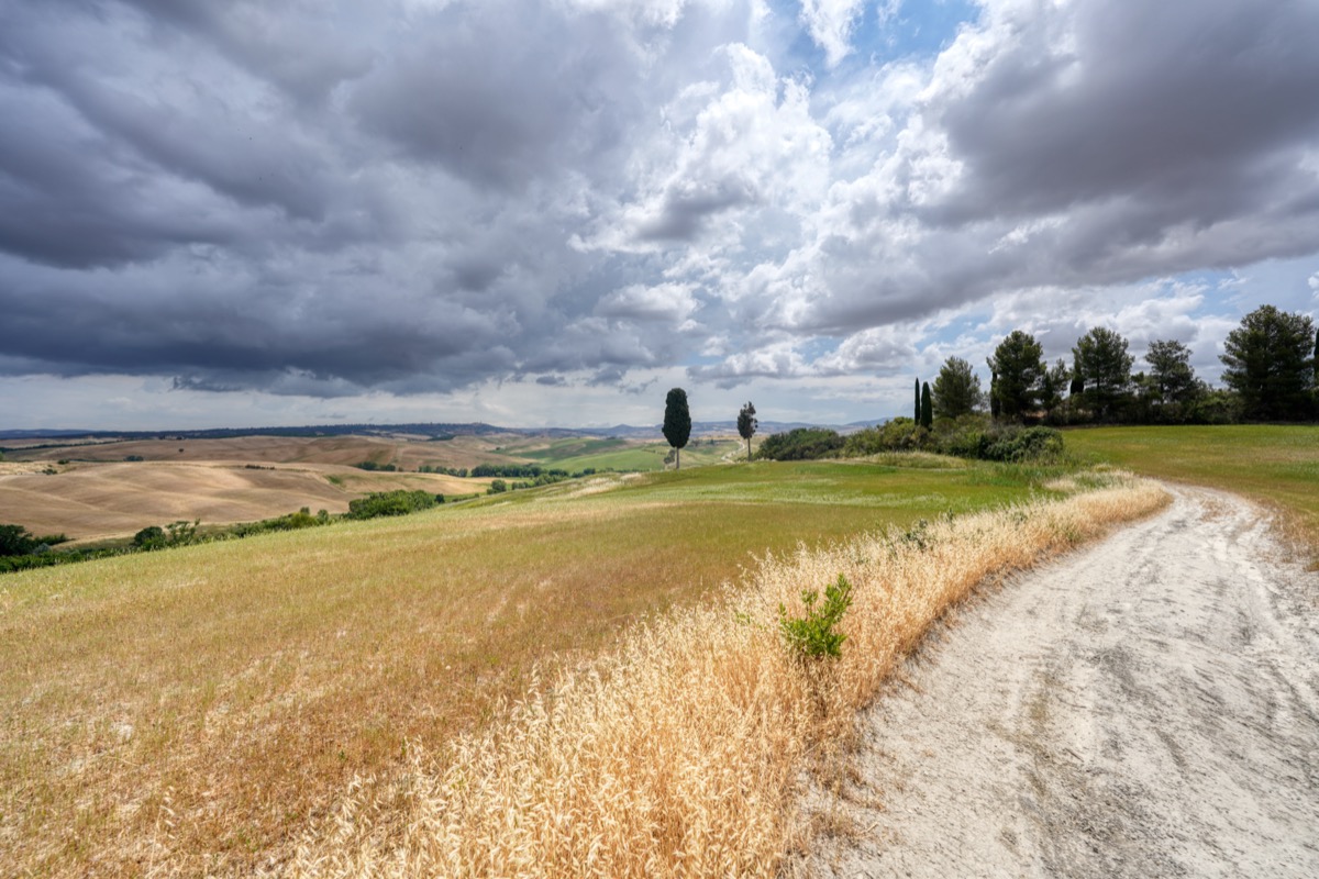 Landschaft im Val D’Orcia