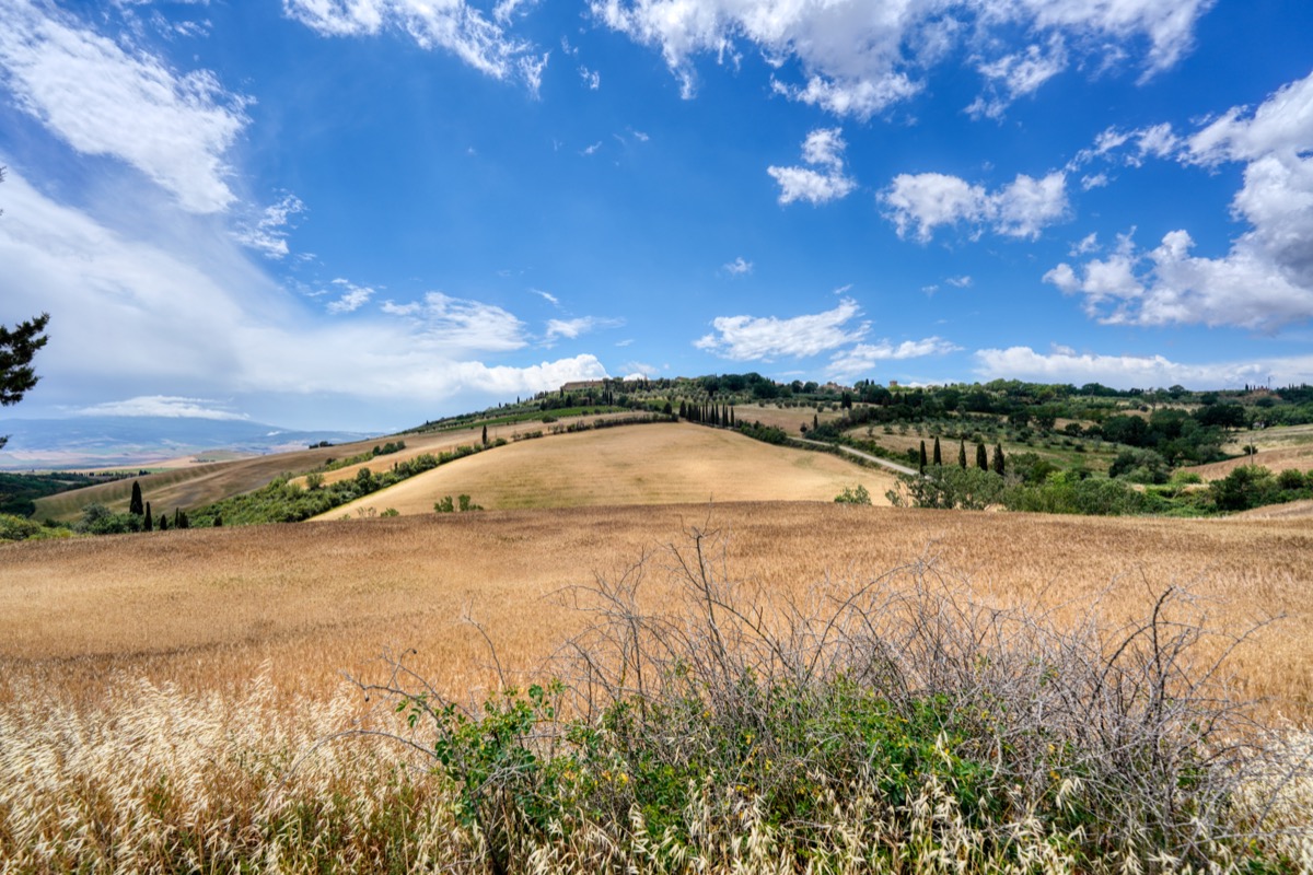 Landschaft im Val D’Orcia