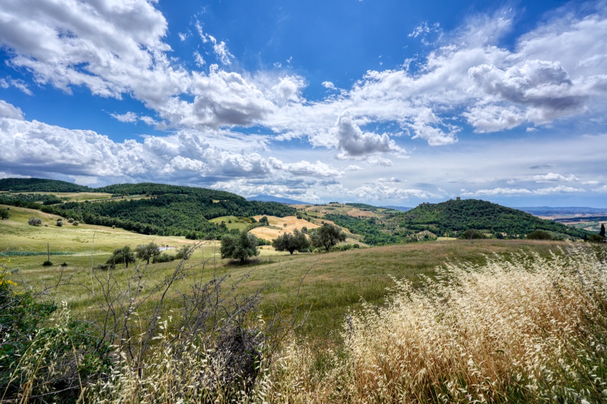 Landschaft im Val D’Orcia