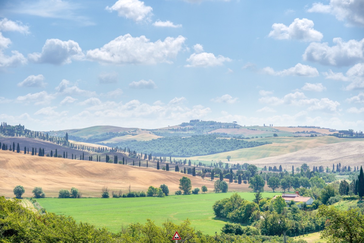 Landschaft bei Asciano