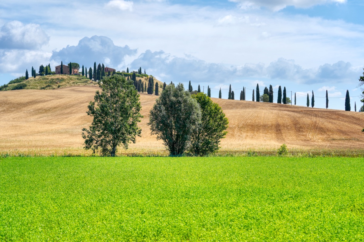 Landgut bei Siena