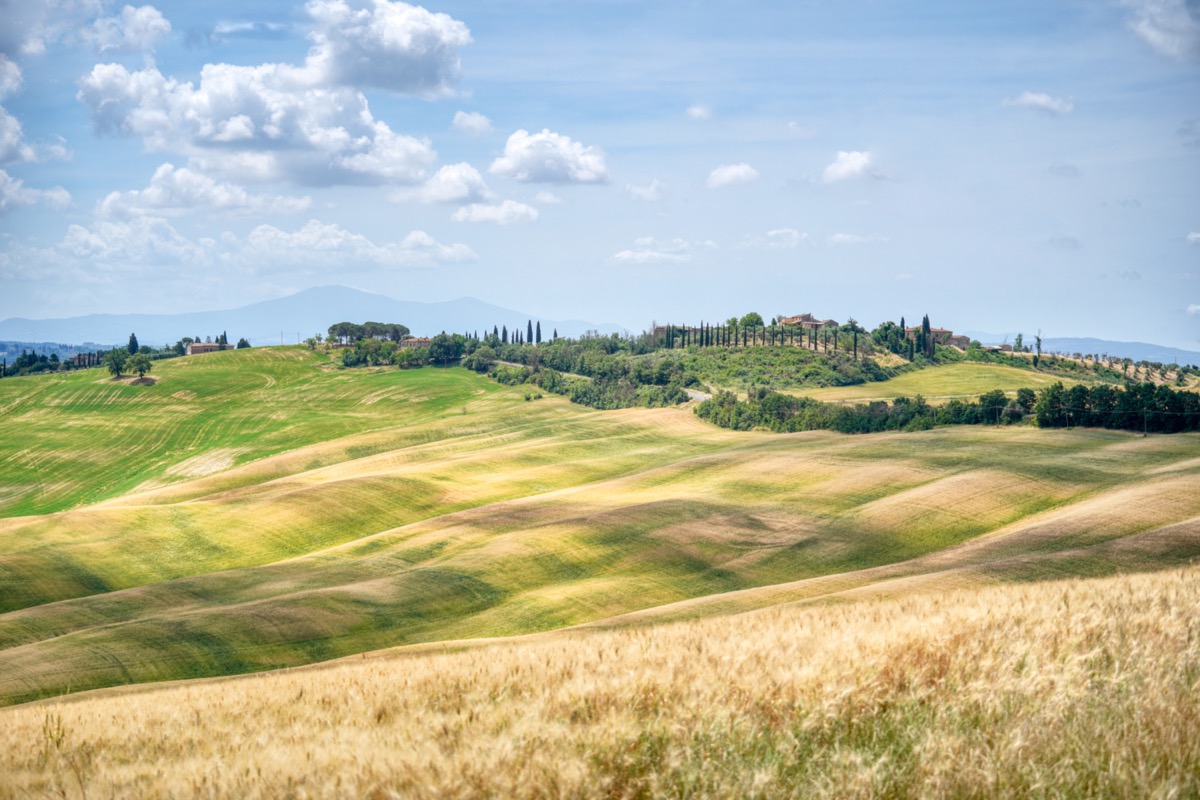 Landschaft bei Asciano