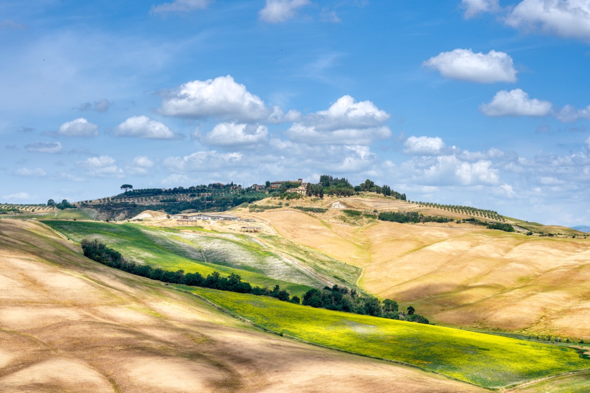 Landschaft bei Asciano