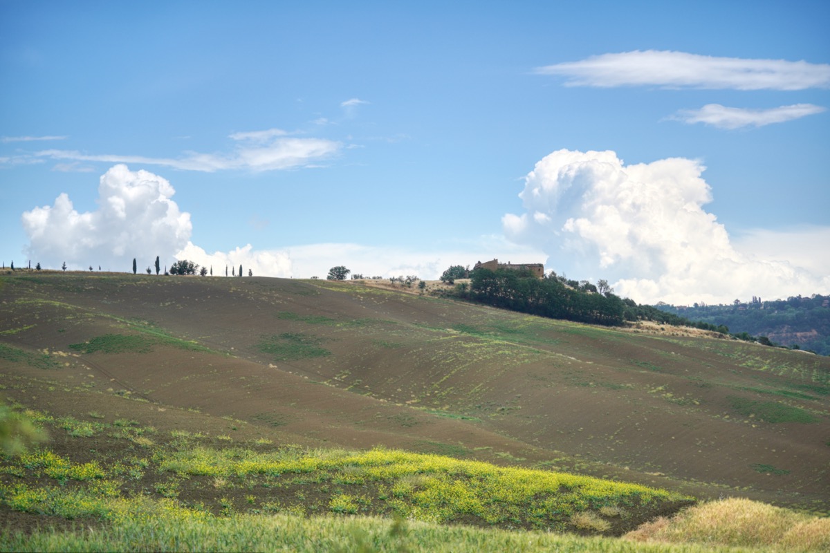 Landschaft im Val D’Orcia