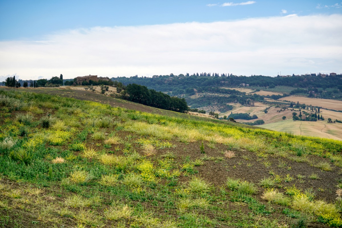 Landschaft bei San Quirico D’Orcia