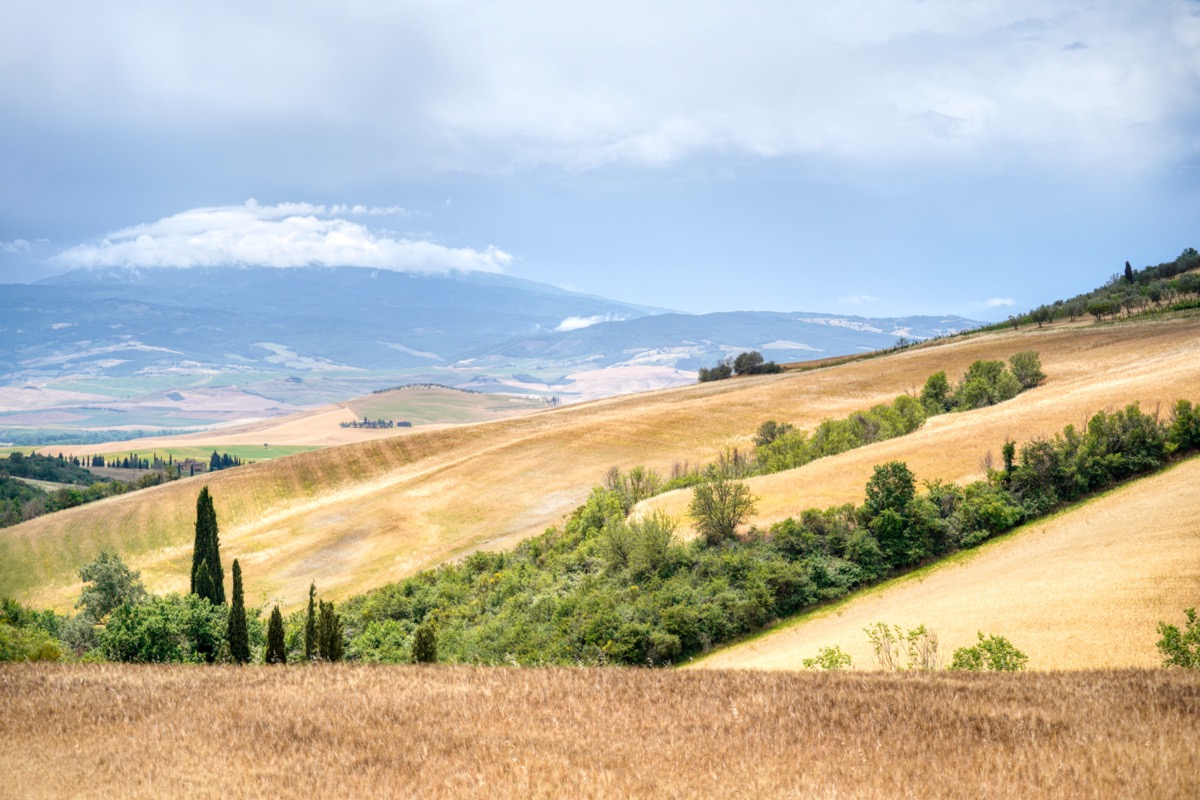 Landschaft im Val D’Orcia