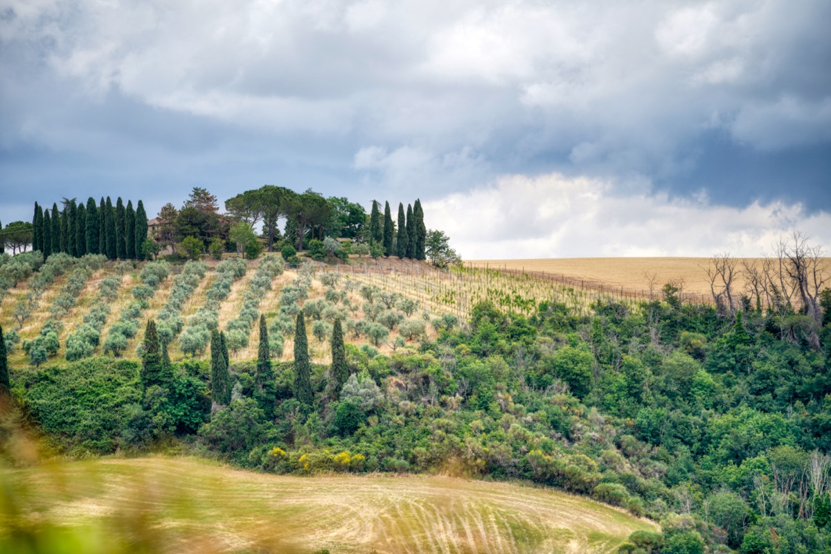 Landschaft bei Monticchiello