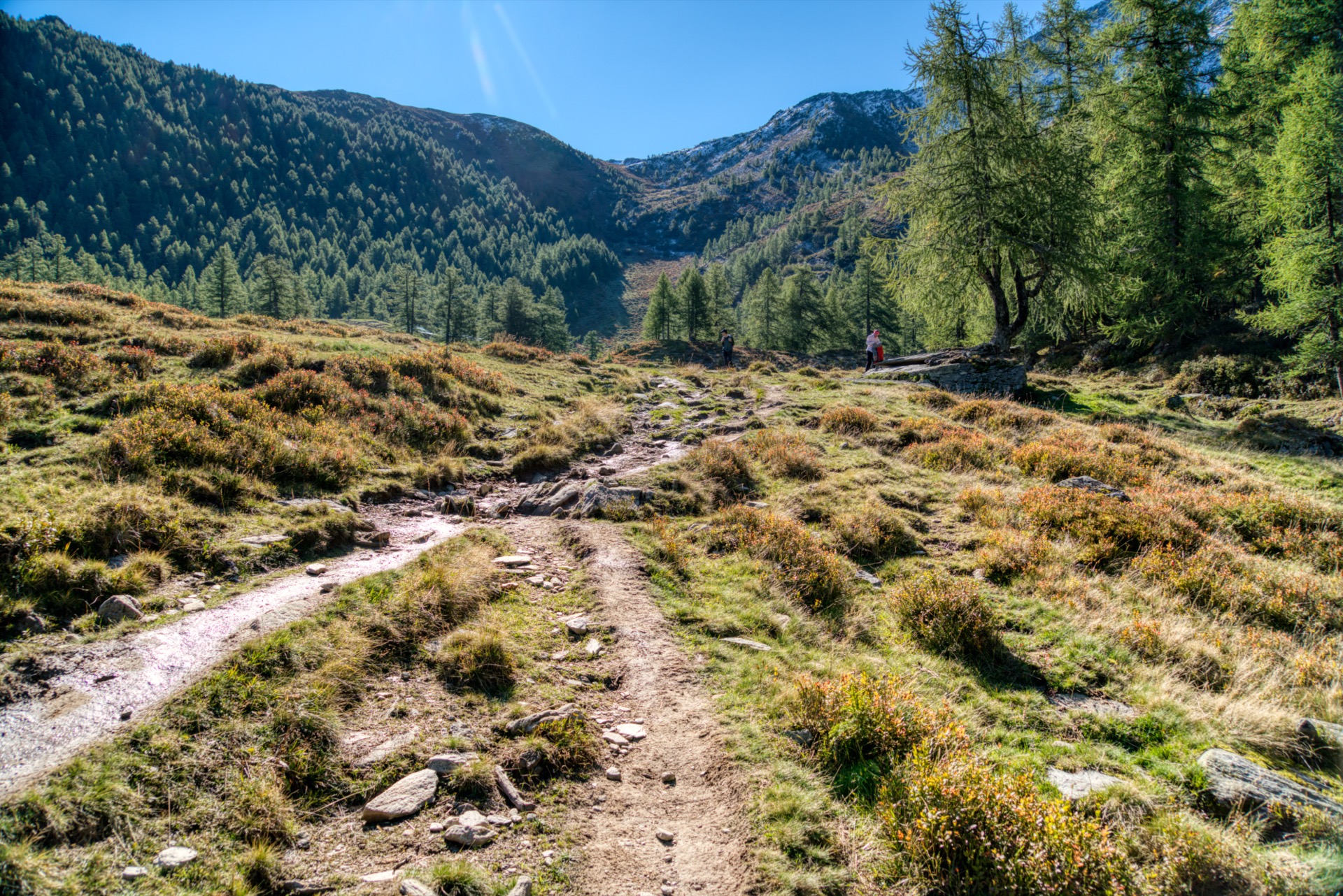 Col de la Forclaz