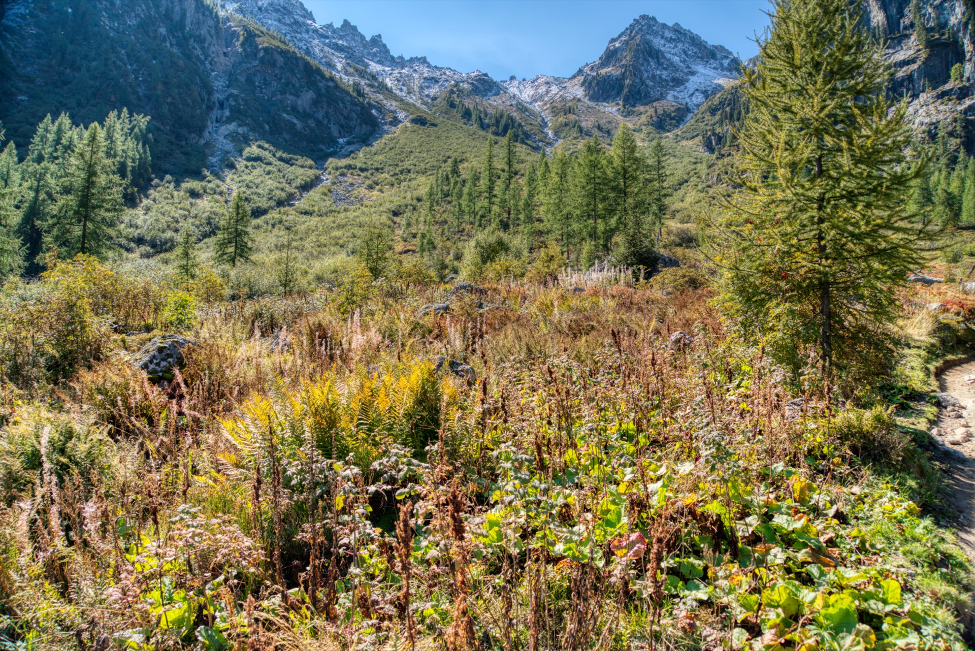 Pointe Ronde