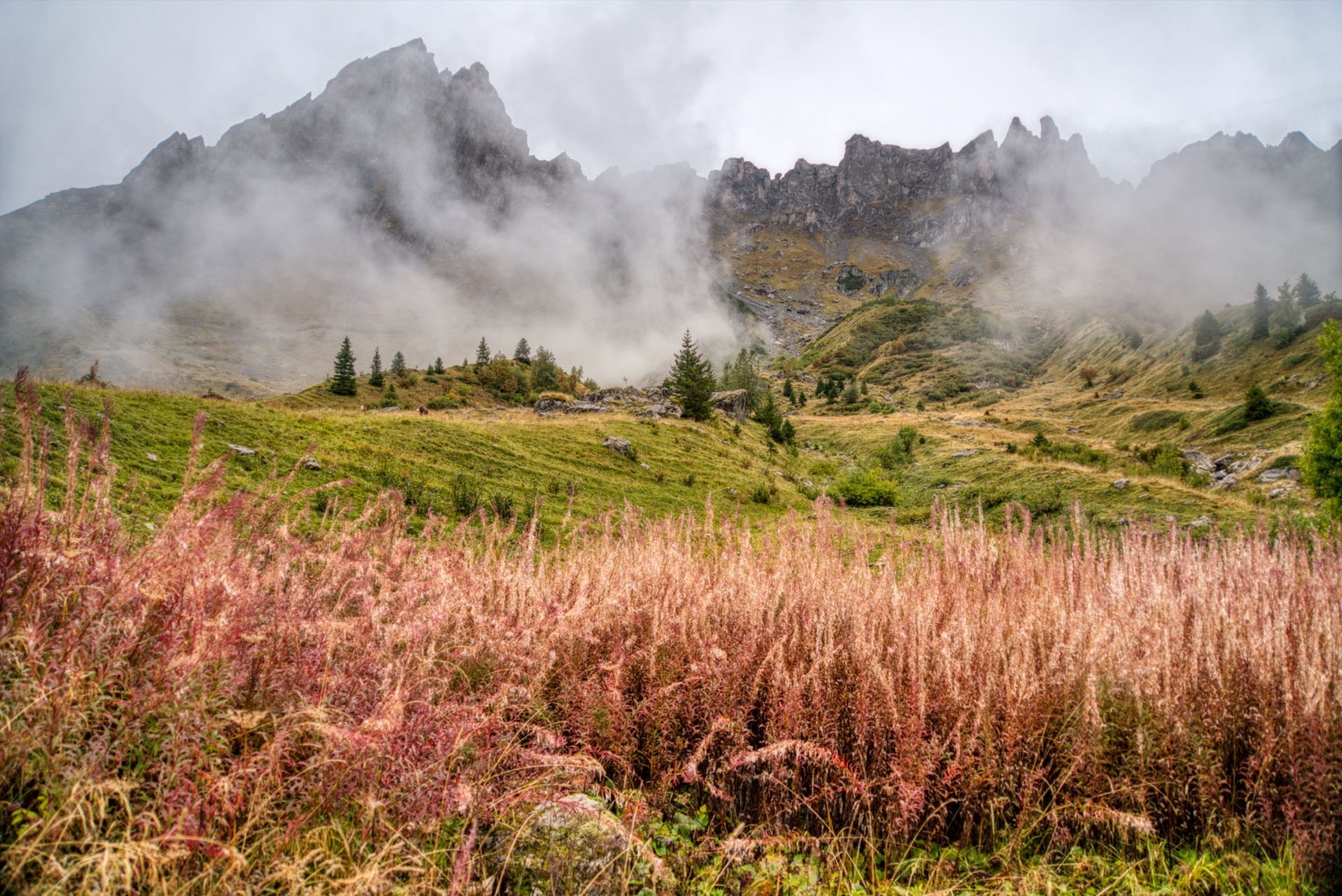 Col de Bonhomme