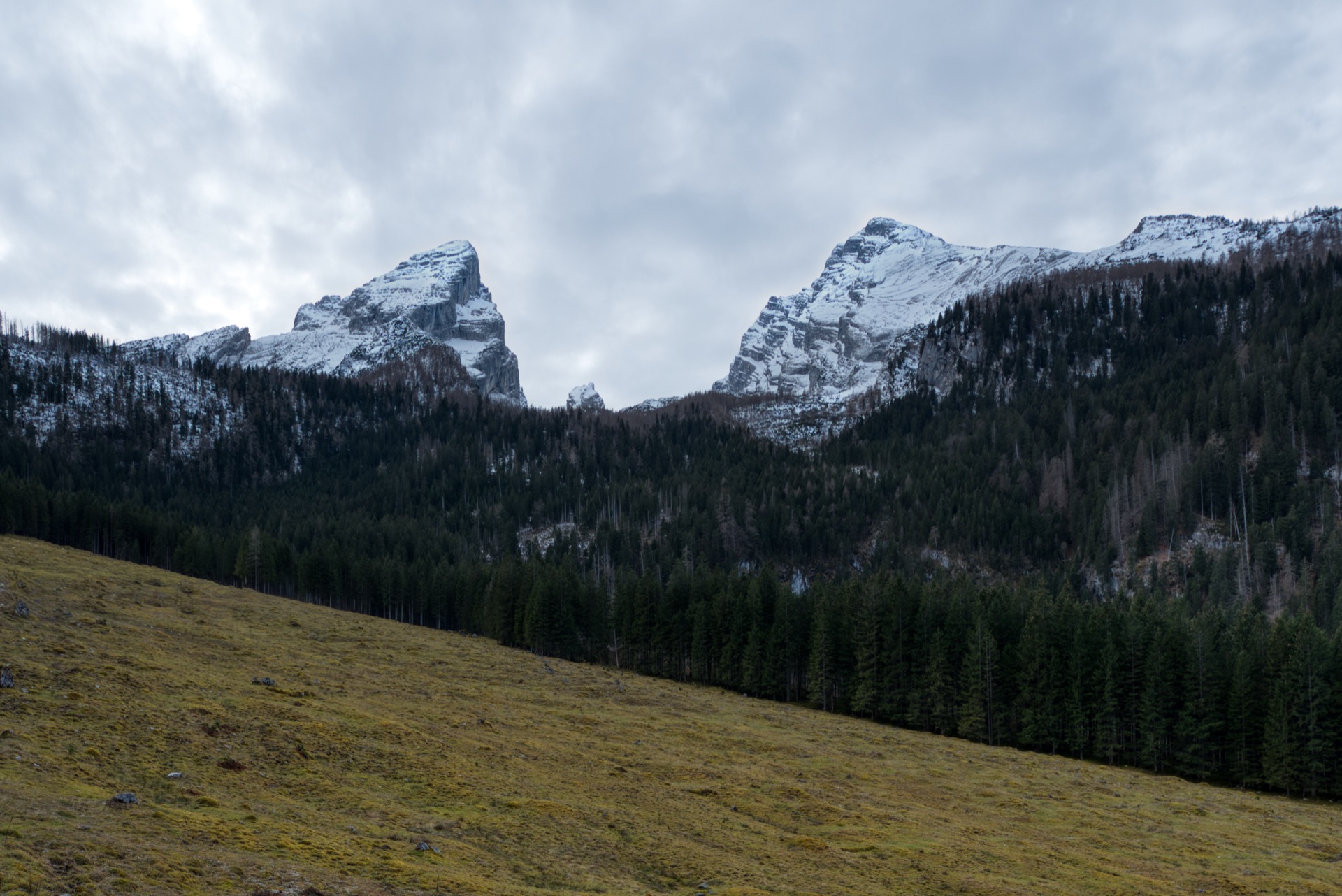 Watzmann von der Schapbachalm