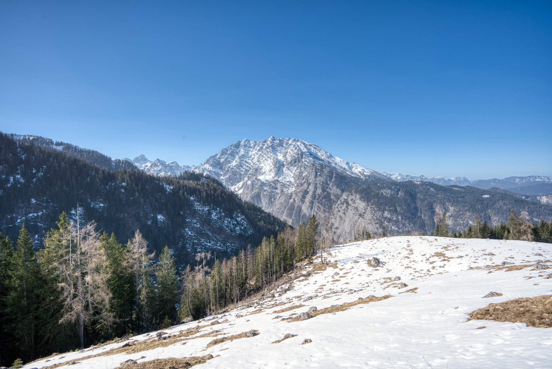 Watzmann von der Priesbergalm