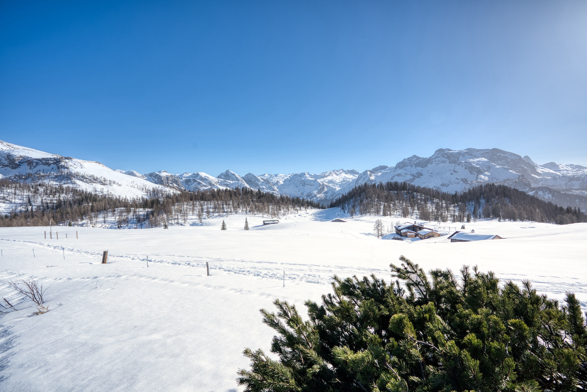 Gotzenalm