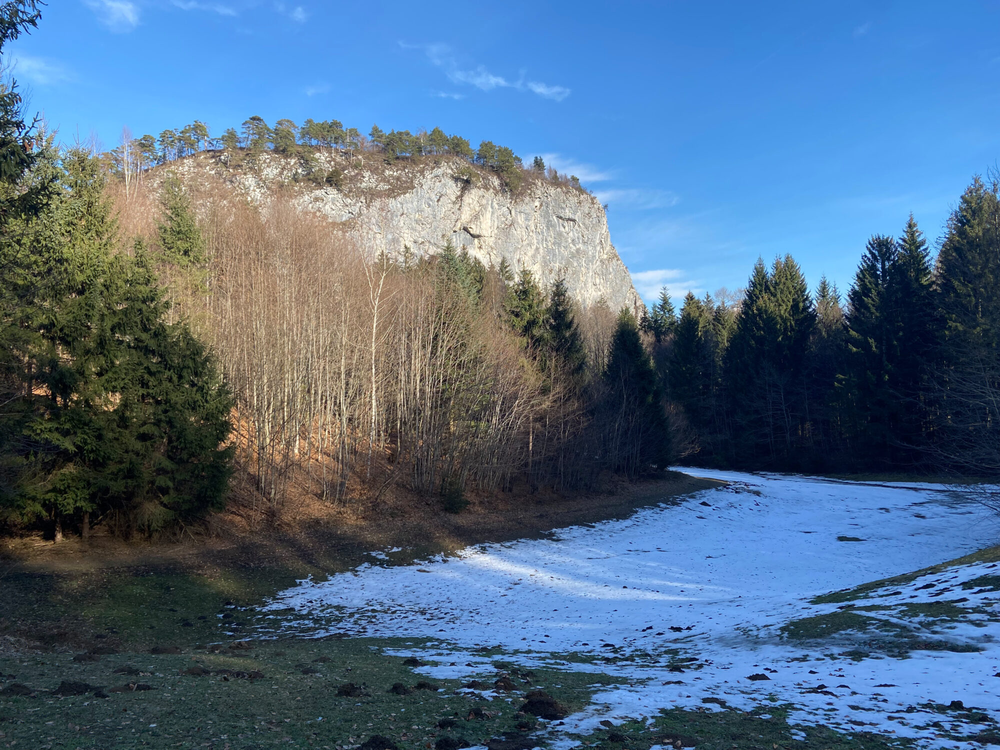 Großer Barmstein