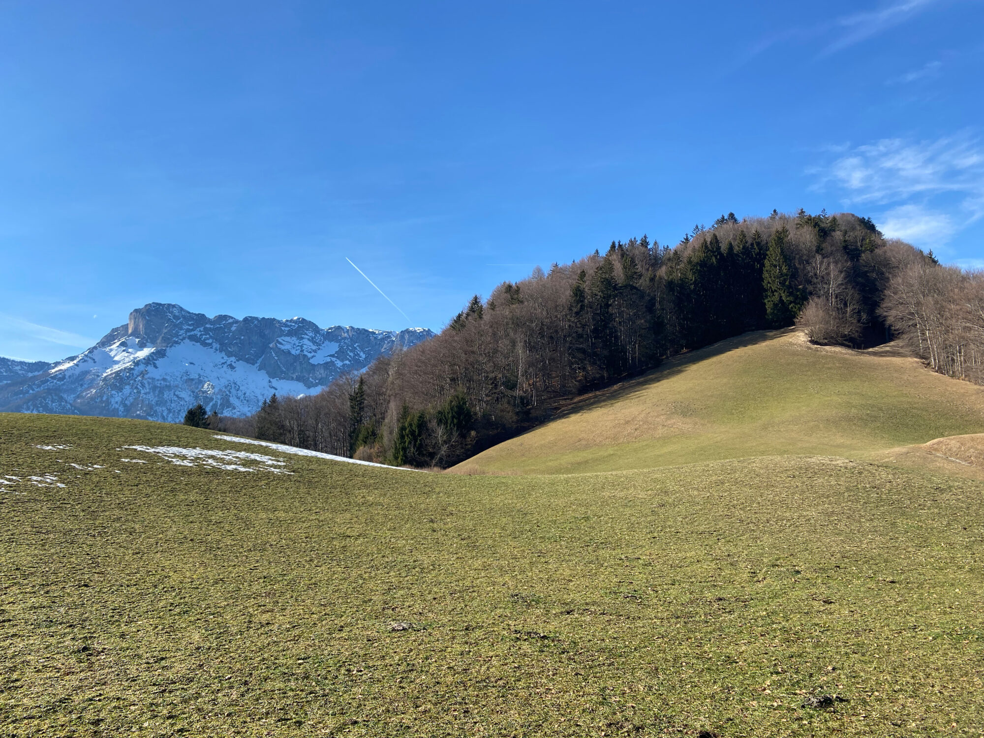 Hoher Götschen (930m)