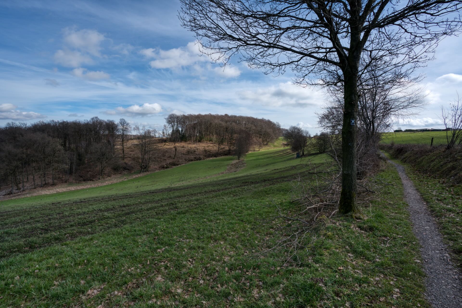 Landschaft bei der Ennepetalsperre