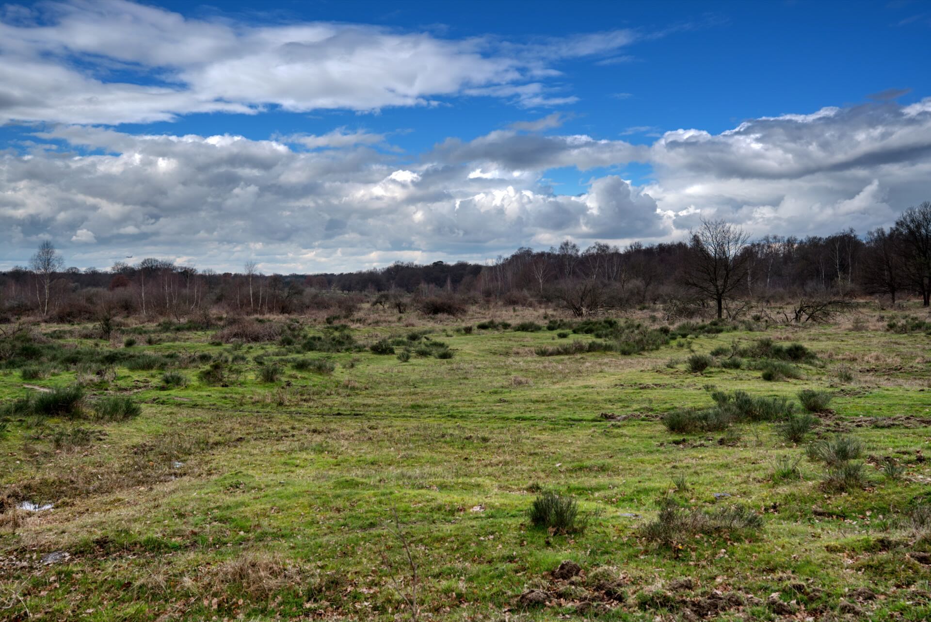 Wahner Heide