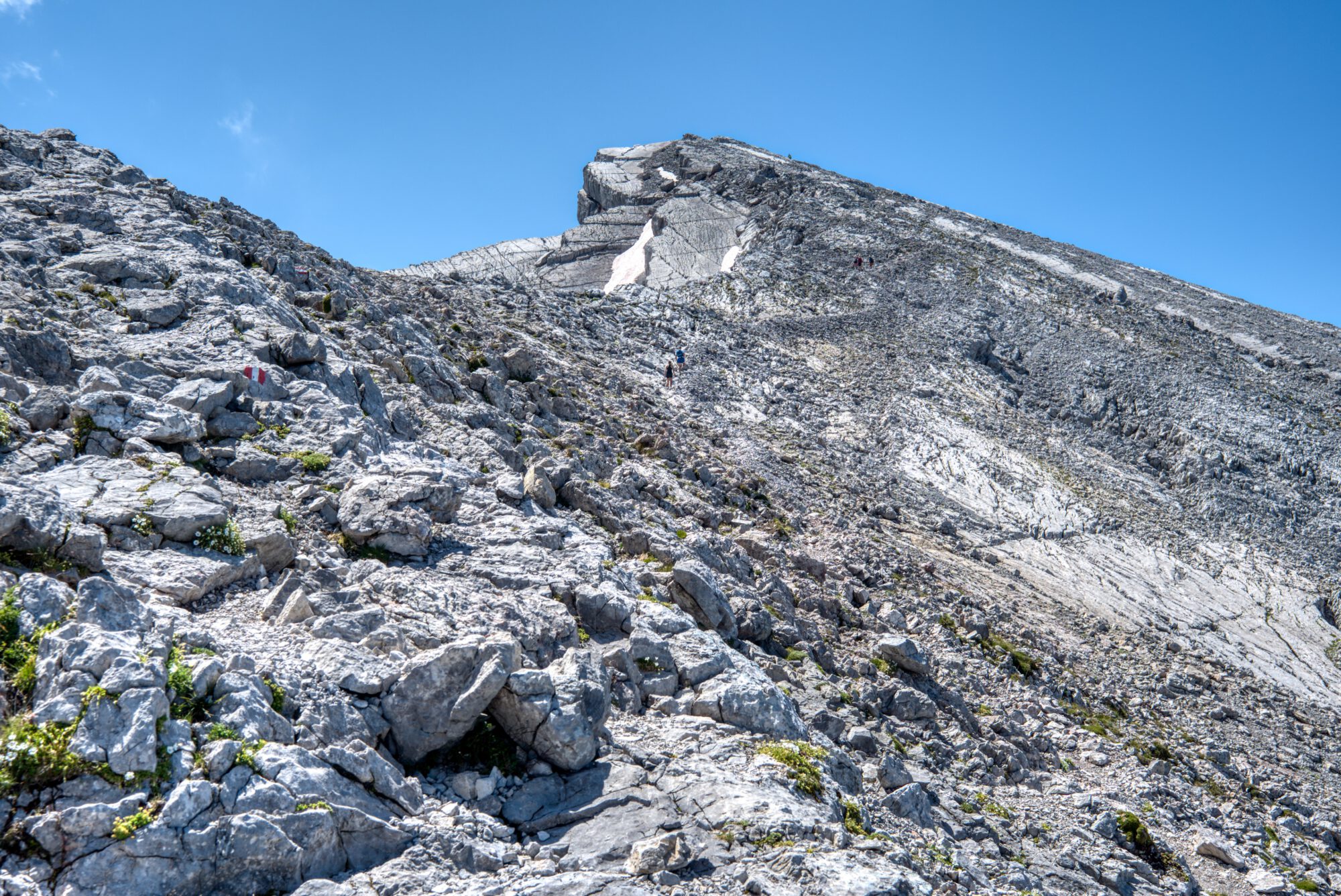 Gerölllandschaft vor dem Hocheck