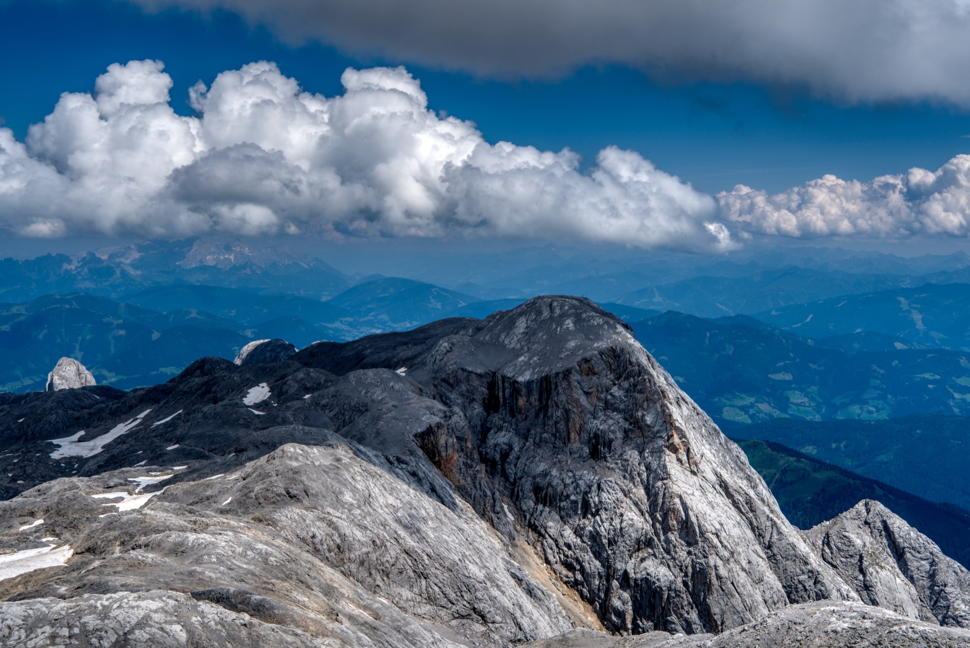 Großer Bratschenkopf Ostseite